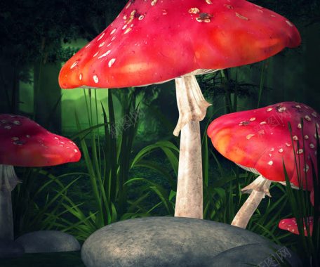 森林中的红色蘑菇背景