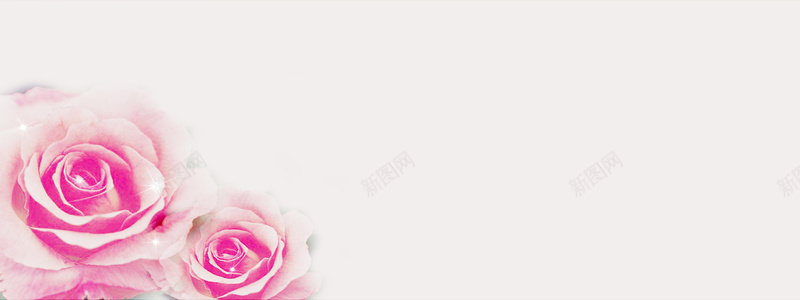 粉玫瑰温馨背景jpg设计背景_88icon https://88icon.com 其他 婚宴 婚庆 婚礼 浪漫 浪漫背景 海报banner 爱情 爱情背景 甜蜜背景 粉色 背景图片 花朵