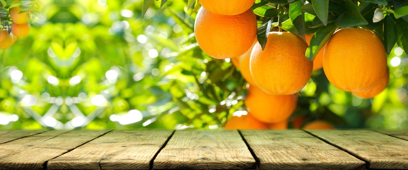 清新风全屏海报psd模板psd设计背景_88icon https://88icon.com anner banner psd 全屏海报 木板 树叶 模板 橙子 清新风