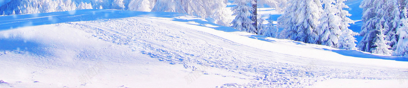 冬天去那儿白色卡通旅游海报psd设计背景_88icon https://88icon.com 儿童 冬天 冬季 卡通 寒假旅游 快乐度假 旅游 旅行社 滑雪 雪地