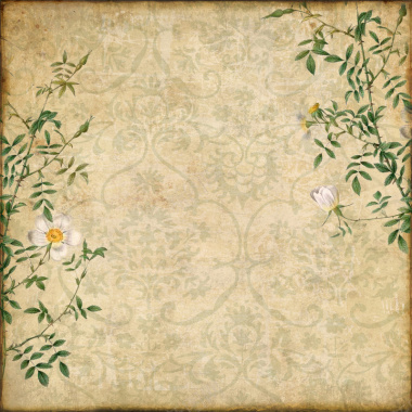花朵复古欧式花纹信纸纹理背景图背景