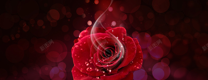 红色玫瑰浪漫大气背景