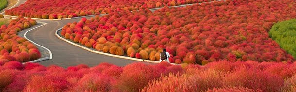 红色道路淘宝海报背景背景