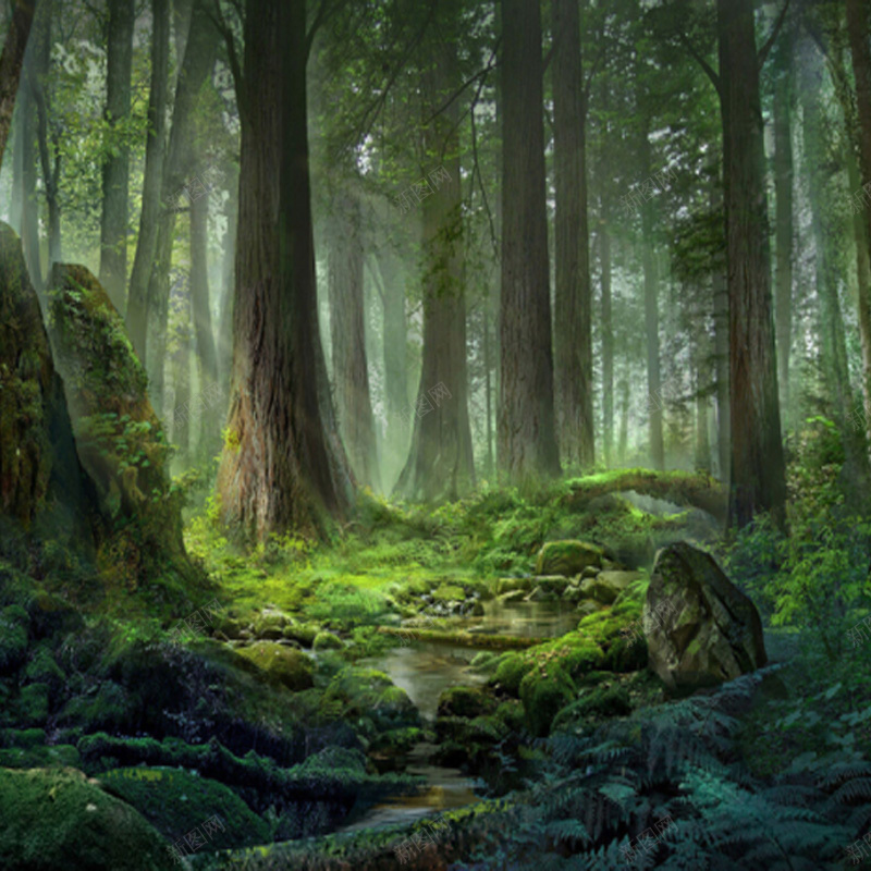 森林大树主图jpg设计背景_88icon https://88icon.com 主图 大树 森林 绿色