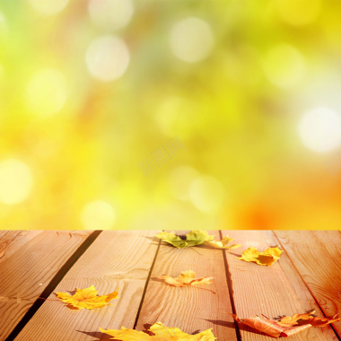 秋季主图背景背景