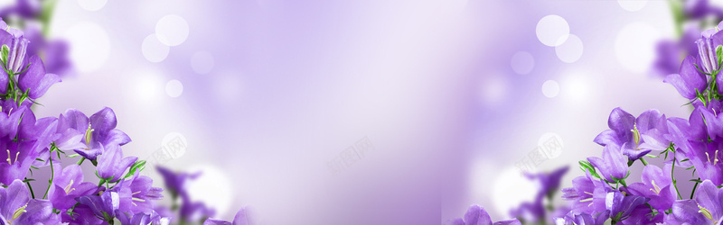 梦幻紫色花朵背景背景