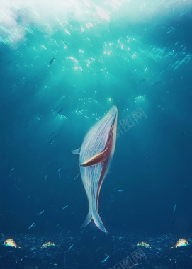 深海鲸鱼海洋馆宣传海报背景psd背景