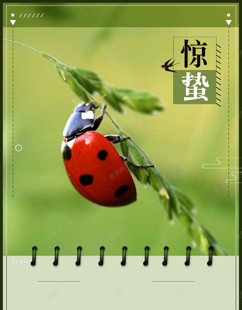 二十四节气惊蛰绿色清新简约背景psd_88icon https://88icon.com 七星瓢虫 二十四节气 传统节气 惊蛰 昆虫 植物 清新 简约 绿色背景 背景