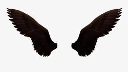 黑暗的翅膀暗黑翅膀高清图片