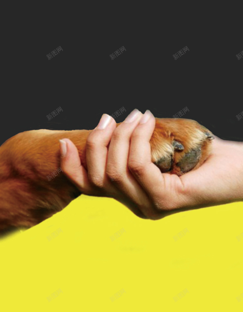 宠物狗公益海报背景psd设计背景_88icon https://88icon.com 公益海报 友好相处 宠物 最好的朋友 狗是人类 狗狗 陪伴 黄色