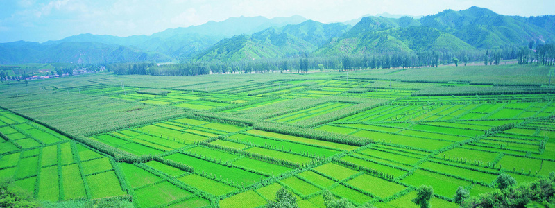 清新乡村田园摄影背景jpg_88icon https://88icon.com 乡村 几何 山峰 摄影 海报banner 清新 田园 稻穗 绿色 风景