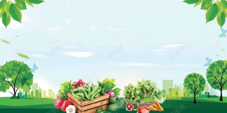 有机蔬菜质量保证海报背景背景
