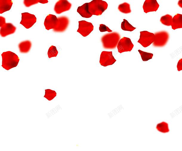 红色玫瑰花瓣jpg设计背景_88icon https://88icon.com 其它类别 图片素材 玫瑰 红色 红色玫瑰花瓣图片 红色玫瑰花瓣图片素材下载 背景花边 花瓣 鲜花