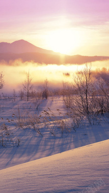 夕阳下的雪景H5背景摄影图片