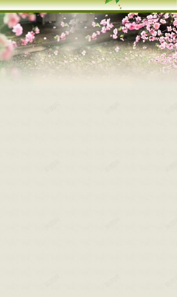 粉色梅花店铺装修页面jpg设计背景_88icon https://88icon.com 店铺 梅花 粉色 装修 页面