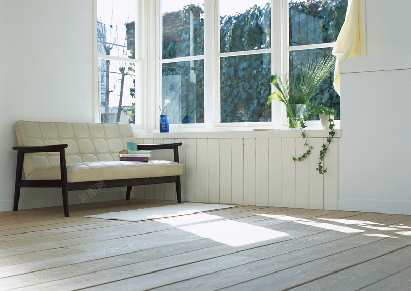 杯子窗户海报背景jpg设计背景_88icon https://88icon.com 书本 地板 家居生活 家居生活图片素材下载 摄影图库 杯子 沙发 灰色 窗户 绿色