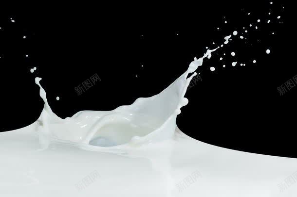 溅起的白色奶花jpg设计背景_88icon https://88icon.com 其它类别 图片素材 奶花 溅起 溅起的白色奶花图片 溅起的白色奶花图片素材下载 牛奶 白色 背景花边 食物 饮料