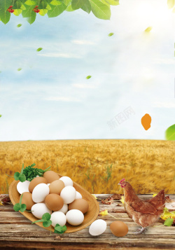 鸡蛋产品宣传册农家土特产海报背景高清图片
