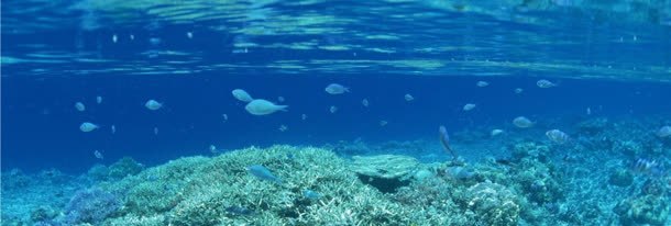 户外唯美风景jpg_88icon https://88icon.com 化妆品 唯美背景 女装 户外场景 摄影图片 活动背景 海报背景 淘宝素材 男装 童装 运动装