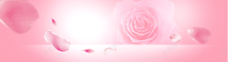 粉色玫瑰花开浪漫海报背景背景