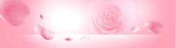 玫瑰花开粉色玫瑰花开浪漫海报背景高清图片