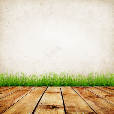 木地板小草墙面背景背景