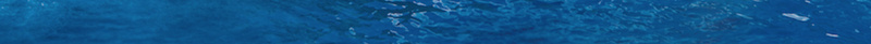 邮轮之旅海报背景psd设计背景_88icon https://88icon.com psd 旅游 海底世界 海洋赞 游轮 游轮海报 白色时尚海报 邮轮之旅 邮轮图片下载