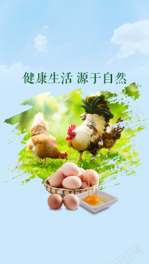鸡蛋农副产品手机APP海报背景