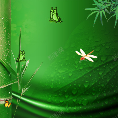 绿色夏季水珠竹子端午节主图背景背景