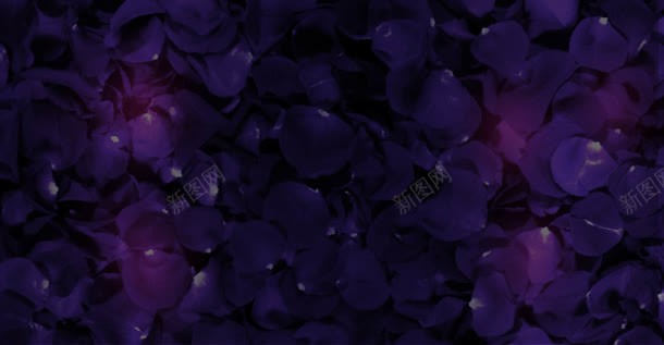 紫色炫酷花朵重叠jpg设计背景_88icon https://88icon.com 紫色 花朵 重叠