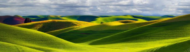 草原banner创意背景