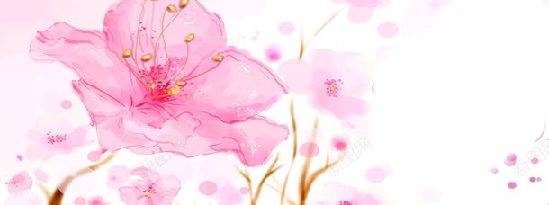 粉红花朵背景背景