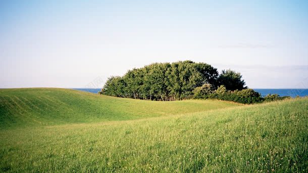 绿色田野蓝天白云背景