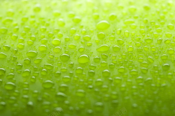 绿色水珠背景背景