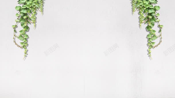 白色简约绿叶藤蔓背景