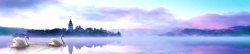 天鹅湖美景浪漫优雅天鹅湖美景高清图片