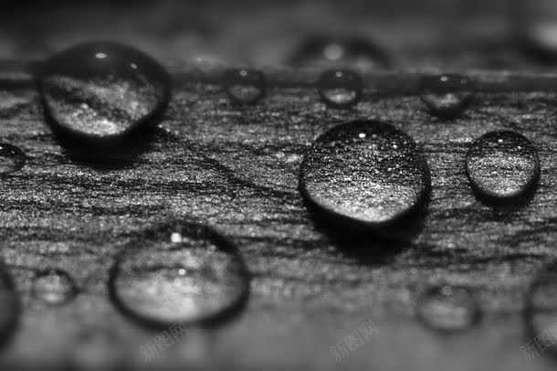 晶莹剔透的水珠背景jpg设计背景_88icon https://88icon.com 图片素材 布满 底纹背景 摄影图 晶莹剔透 晶莹剔透的水珠背景高清图片图片 晶莹剔透的水珠背景高清图片图片素材下载 梦幻背景 水滴 水珠 水珠背景 清新背景 清水 清爽 特写 背景花 露珠 高清图片