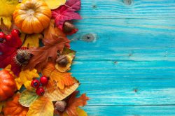 秋天梧桐叶背景秋天树叶与木板背景高清图片