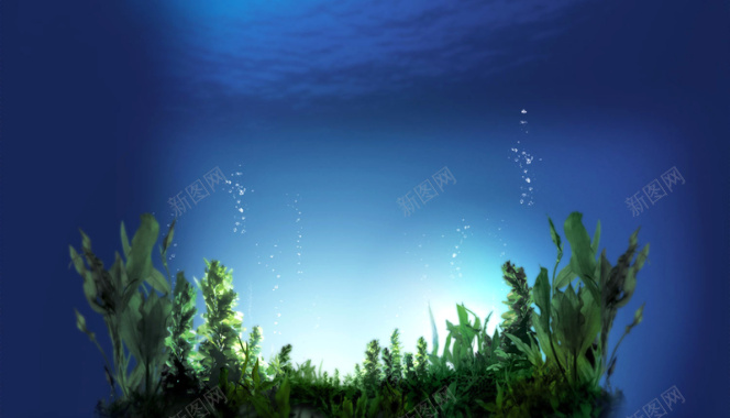 夏日清凉海藻蓝色背景背景