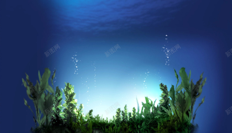 夏日清凉海藻蓝色背景psd设计背景_88icon https://88icon.com 海藻 海藻背景 蓝色 蓝色背景