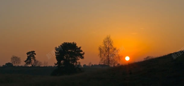 夕阳天空背景jpg设计背景_88icon https://88icon.com 夕阳 天空 树林