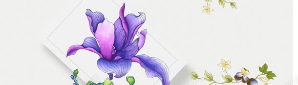 护肤品紫色花卉唯美背景banner背景