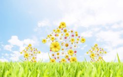 绿草黄花蓝天白云明日蓝天白云小黄花绿草高清图片