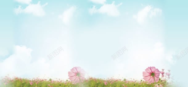 蓝天白云下的绿草粉花背景