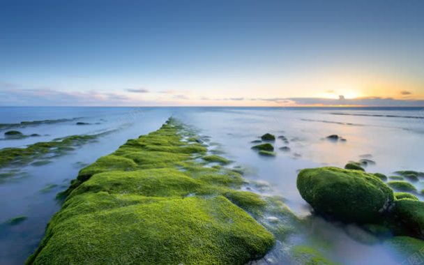 大海绿色石头背景片背景
