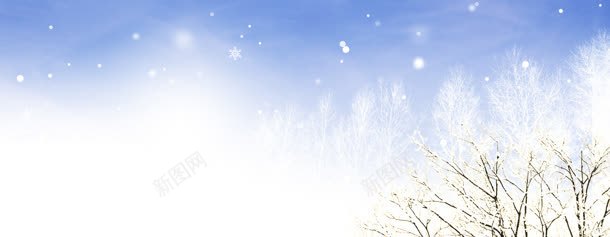 冬季背景jpg设计背景_88icon https://88icon.com 冬季 服装海报 树