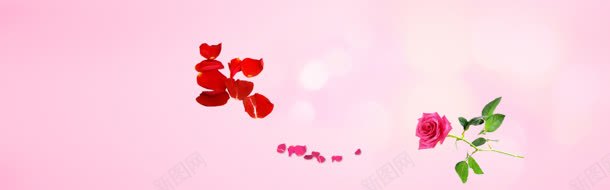 粉红色花瓣背景背景