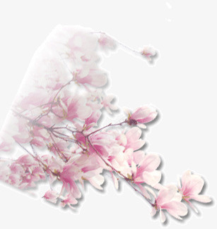 樱花png免抠素材_88icon https://88icon.com 樱花 樱花角 边角樱花