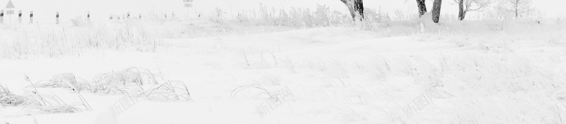 冬至快乐海报背景psd设计背景_88icon https://88icon.com 冬天 冬至促销 冬至广告 冬至快乐 冬至来了 冬至活动 冬至饺子 简约 饺子