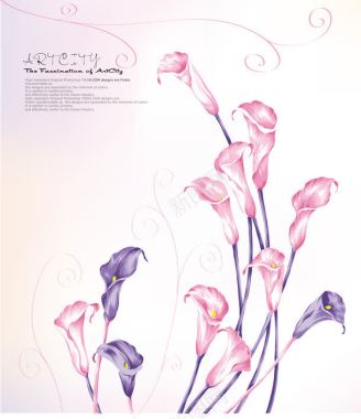 艺术花朵插画背景